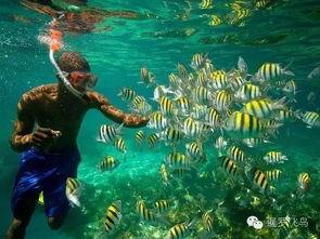 娱乐吃瓜酱飞鸟与鱼,娱乐吃瓜酱的甜蜜邂逅 第3张 娱乐吃瓜酱飞鸟与鱼,娱乐吃瓜酱的甜蜜邂逅 第3张