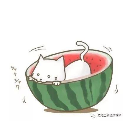 吃瓜群众的卡通图片,趣味解读社会热点现象 第3张 吃瓜群众的卡通图片,趣味解读社会热点现象 第3张