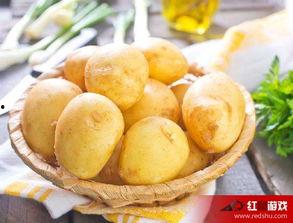 娱乐吃瓜小金土豆