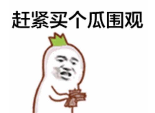 吃瓜群众英文翻译是什么,From 'Eating Watermelons' to 'Gossipy Spectators': The Evolution of the English Translation for 'Chī guā qúnzhòng' 第3张 吃瓜群众英文翻译是什么,From 'Eating Watermelons' to 'Gossipy Spectators': The Evolution of the English Translation for 'Chī guā qúnzhòng' 第3张