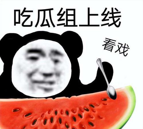 娱乐圈吃瓜小三,揭秘小三背后的真相与争议 第2张 娱乐圈吃瓜小三,揭秘小三背后的真相与争议 第2张