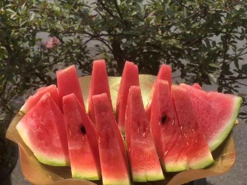 小嘉娱乐吃瓜,揭秘娱乐圈最新吃瓜事件,带你领略明星幕后故事 第3张 小嘉娱乐吃瓜,揭秘娱乐圈最新吃瓜事件,带你领略明星幕后故事 第3张